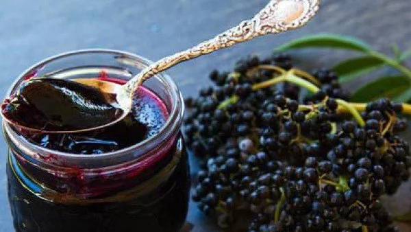 Чудотворните свойства на плодовете от бъз