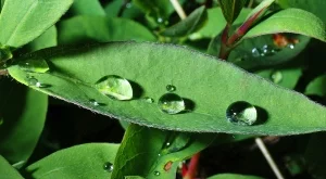 Вижте какво ще бъде времето до края на май