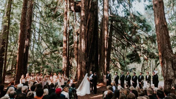 Идеи за тематична сватба с дърво
