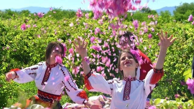 Нови условия за сключване на еднодневни трудови договори от есента