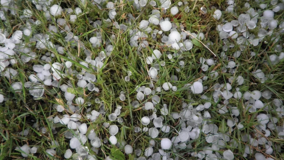 Възможни са обезщетения за фермерите заради градушките 