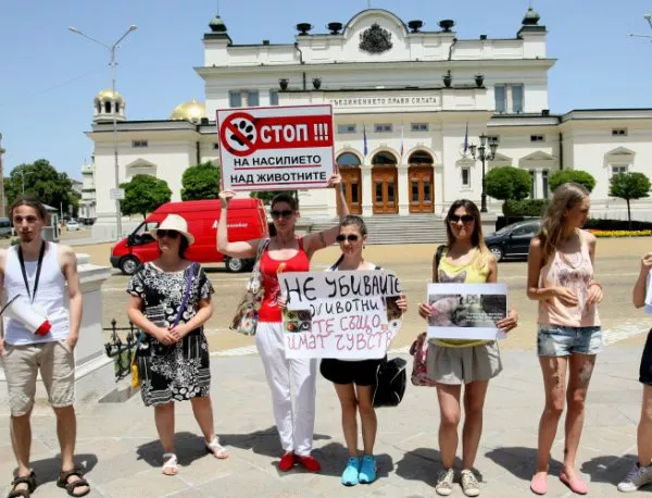 Вегани протестираха срещу убиването на животни