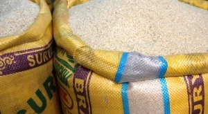 Китай ще отглежда ориз в пустинята 