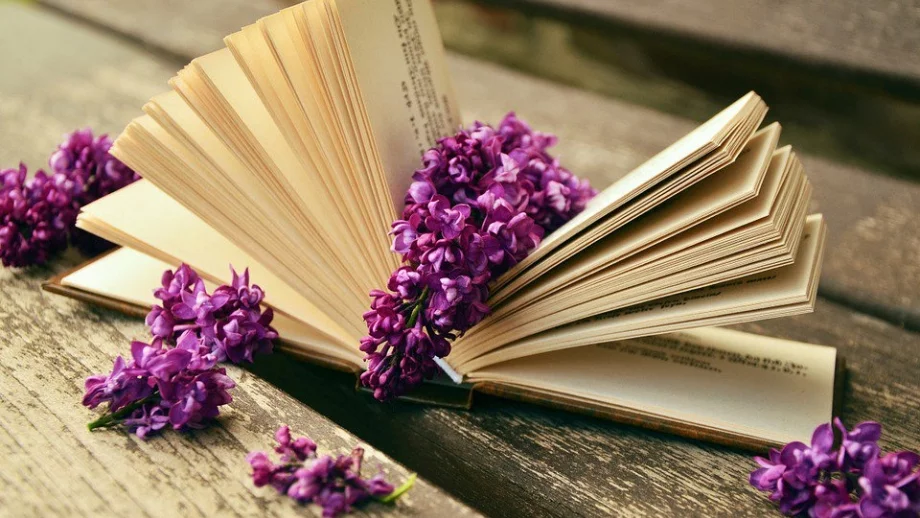 Защо старите книги миришат толкова привлекателно?