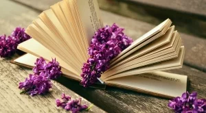 2016/06/30/0317690001467276216