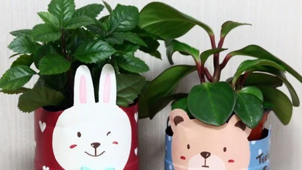 Направи си сама: Саксия с муцунка