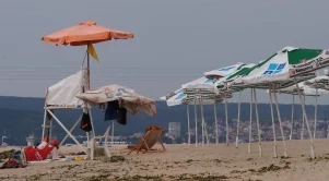 НАП затвори 15 хранителни магазина по морето 