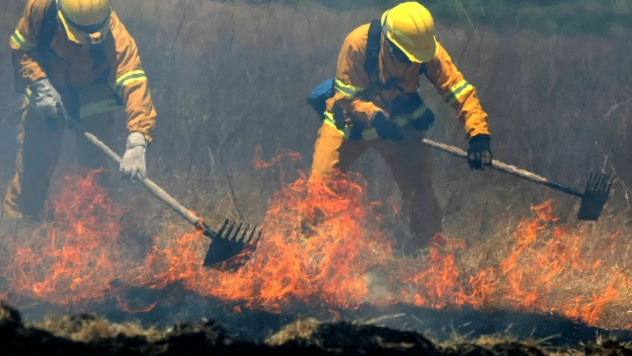 Земеделец, причинил пожар, няма да има право да наема площи 3 години