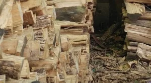 2016/08/02/0972890001470135657