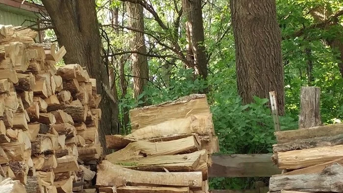 Можете ли да откриете котката на картинката за по-малко от 10 секунди?