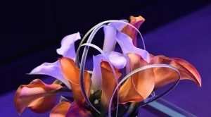 Новият Galaxy Note 7 идва със скенер за ириси