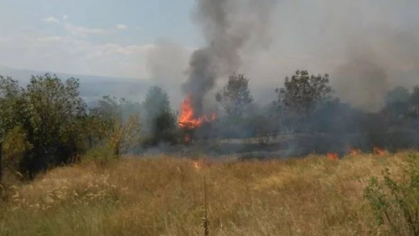 Огънят в село Главан надделява над пожарникарите