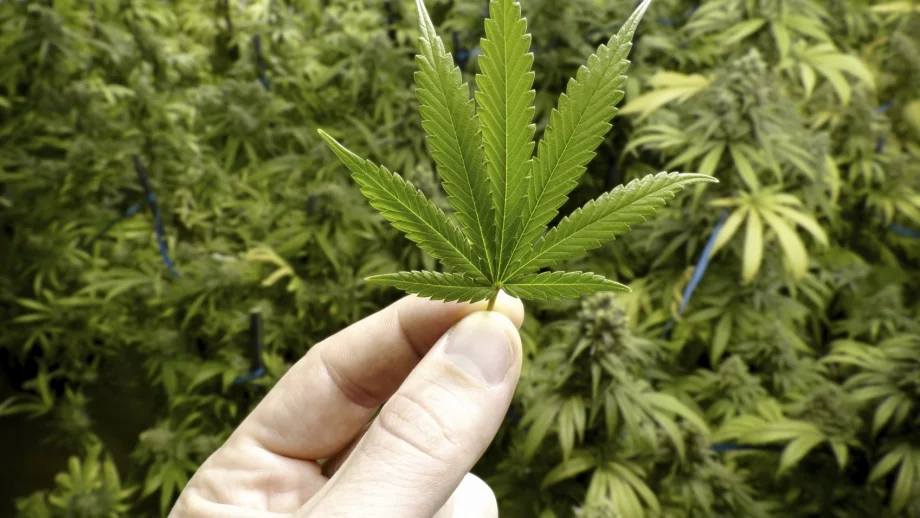 Онлайн продажбите на наркотици процъфтяват, американци държат лъвския пай