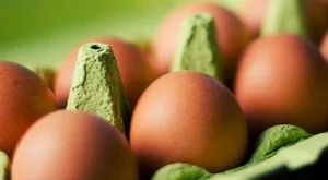 Ето защо яйцата експлодират в микровълнова печка