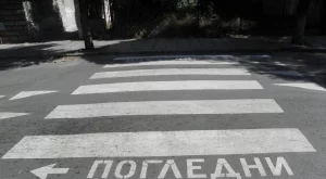 Нови цветове на зебрите няма да са това, което ще намали пътните инциденти