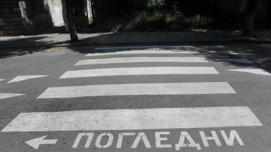 Нови цветове на зебрите няма да са това, което ще намали пътните инциденти