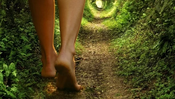 Притча: Виждаме ли знаците по пътя си