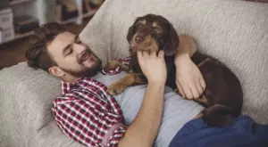 Защо да се възползваме от професионално почистване за старите вещи и мебели 