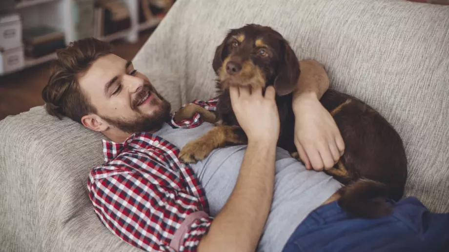 Защо да се възползваме от професионално почистване за старите вещи и мебели 