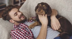 Домът е там, от където не искаш да си тръгнеш!