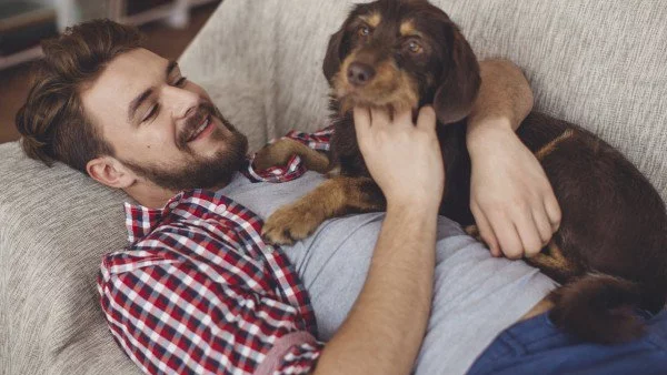 Домът е там, от където не искаш да си тръгнеш!