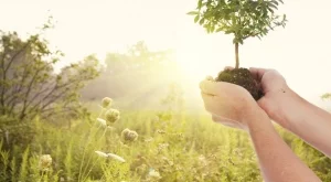 Приказка за мечтите