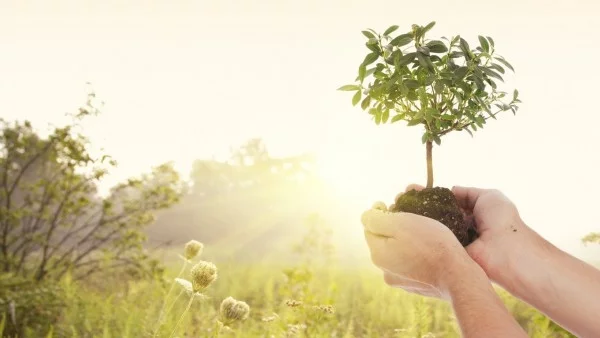 Приказка за мечтите