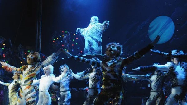 Още едно представление на "Котките"