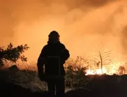 Чили поиска международна помощ заради опустошителните горски пожари