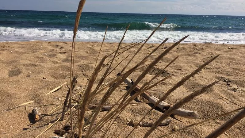 Откриват се процедури за предоставяне на концесия на 8 морски плажа 