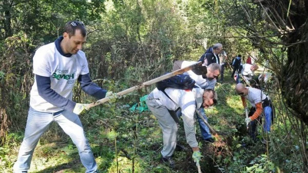 16 града в страната се обединяват под мотото "Бъди зелен не само за ден"