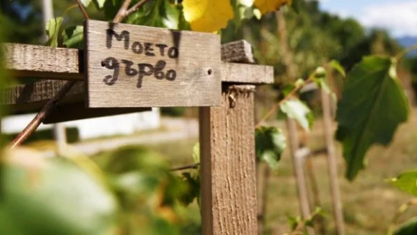 Природен парк "Витоша" става дом на втората гора на "Моят зелен град"