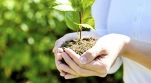 Излез от офиса. Засади дръвче