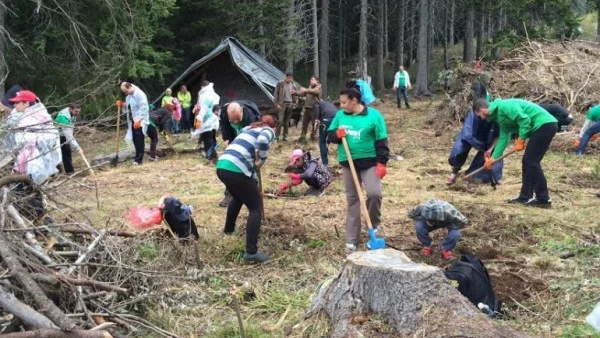 20 000 декара площ ще бъде залесена през тази година