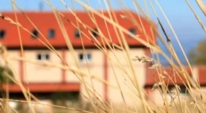 Празник на сламата - вкусна храна и забавления 