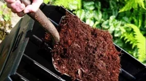 2016/09/29/0940532001475152075