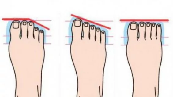 Какво казва за нас формата на пръстите на краката ни?
