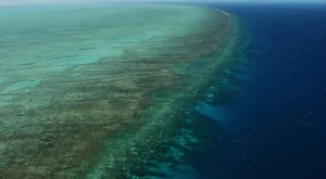 Големият бариерен риф си има цена - 42 млрд. долара 