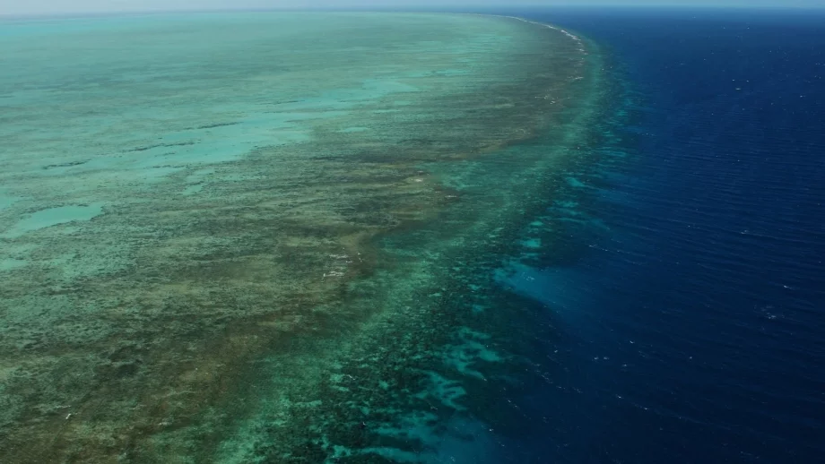 Големият бариерен риф си има цена - 42 млрд. долара 