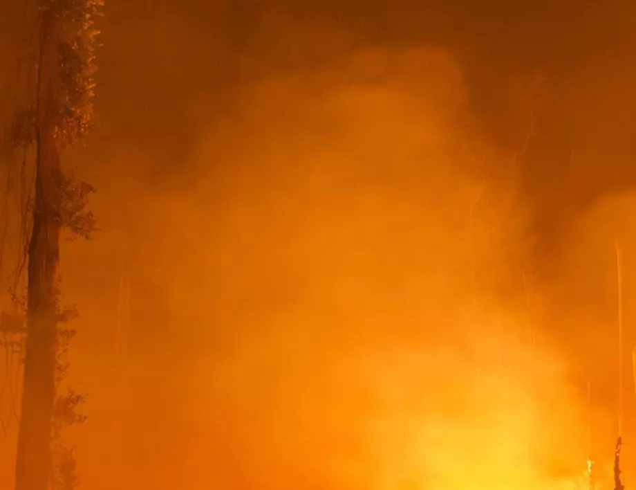 Обстреляха със запалителна смес института "Роберт Кох"