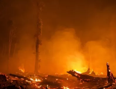 Заради пожари в Хърватия е обявена тревога за всички огнеборци