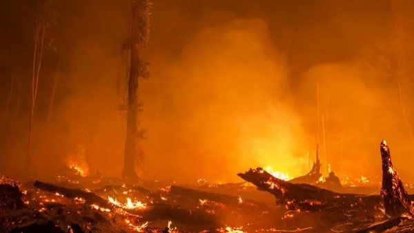 Заради пожари в Хърватия е обявена тревога за всички огнеборци