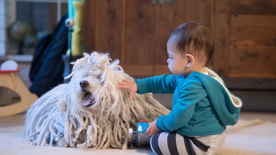 Дъщеричката на Зукърбърг каза първата си дума. Не, не е "фейсбук"