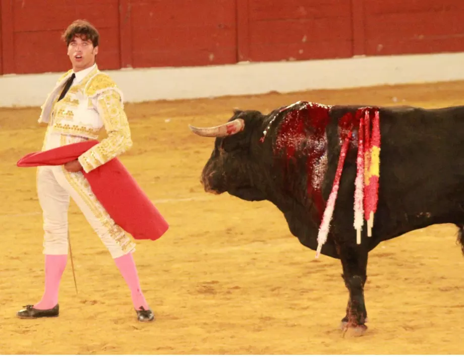 След двегодишна пауза: Възобновяват надбягванията с бикове в Памплона