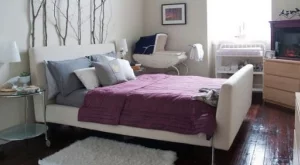 Декорация за дома с клони