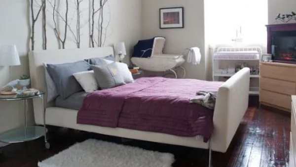 Декорация за дома с клони