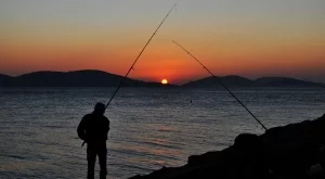 Уволниха шефа на Агенцията по рибарство 