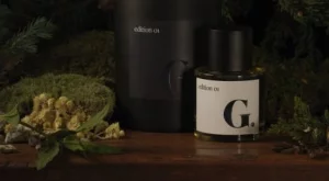 Гуинет Полтроу създаде собствен парфюм