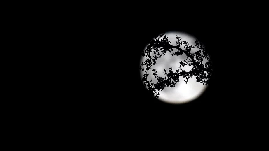 Туристи ще посетят... Луната 