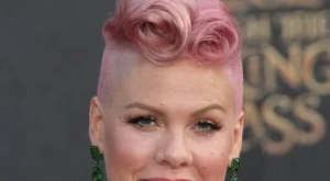 Пинк е бременна с второ дете